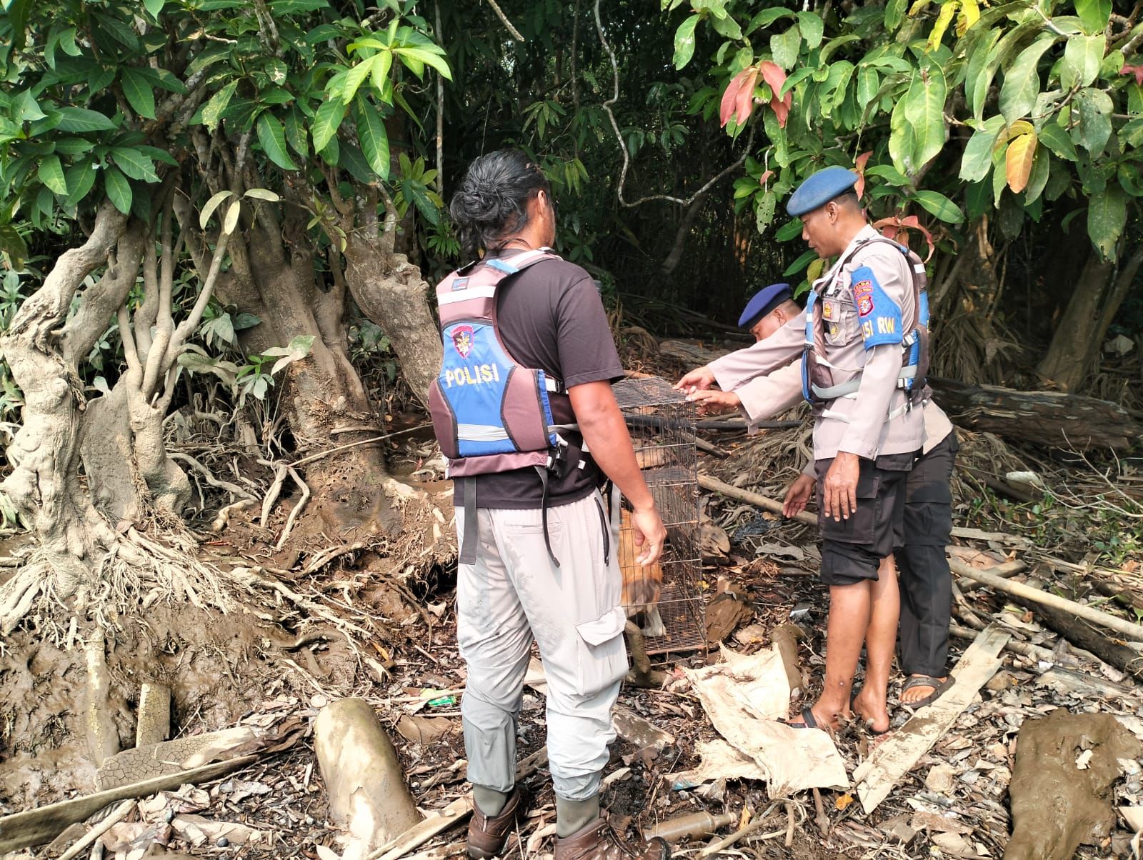 Ditpolairud Melepasliarkan Seekor Bekantan Di Sungai Babuluh Mentaya Seberang