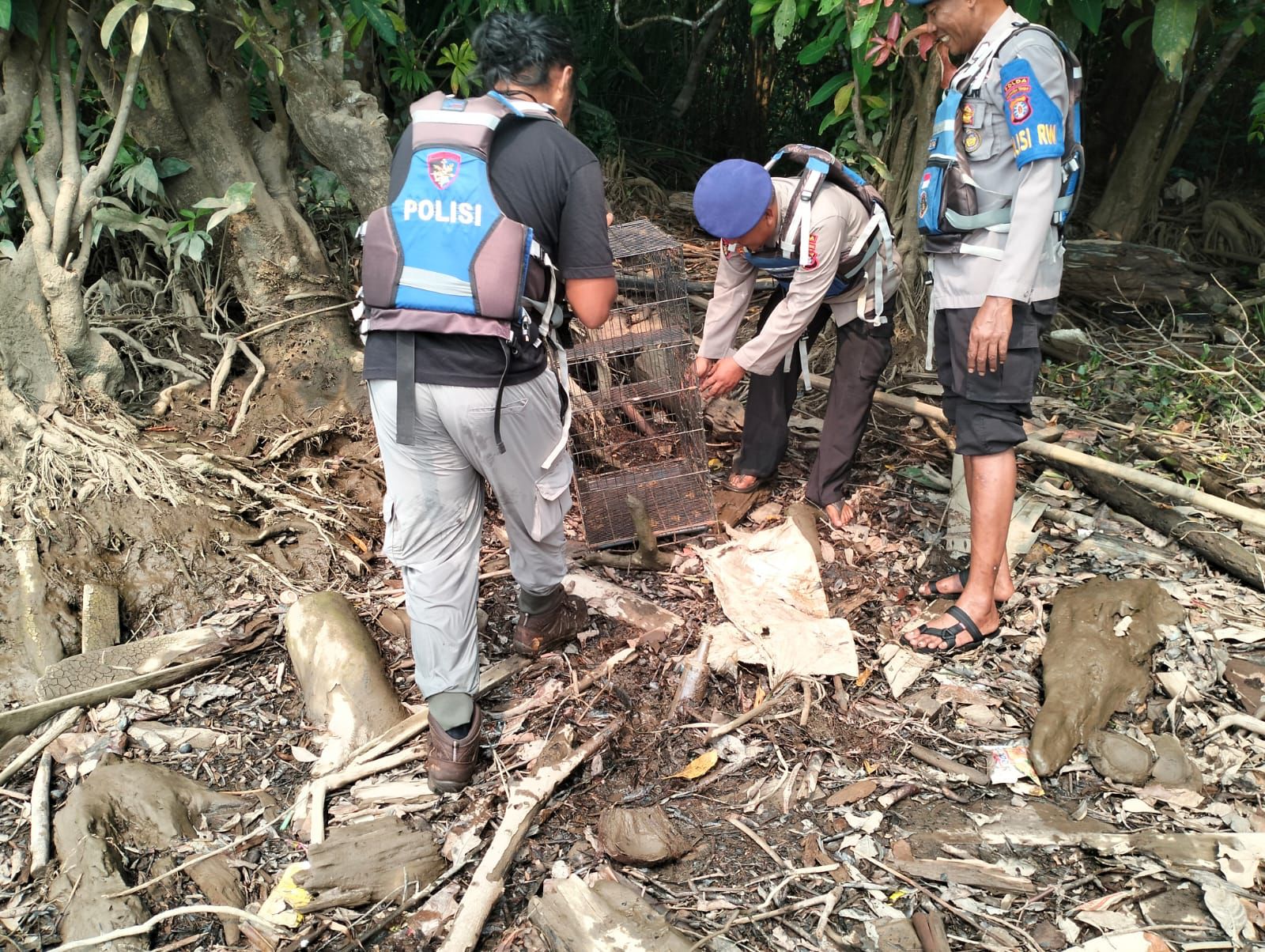 Ditpolairud Melepasliarkan Seekor Bekantan Di Sungai Babuluh Mentaya Seberang