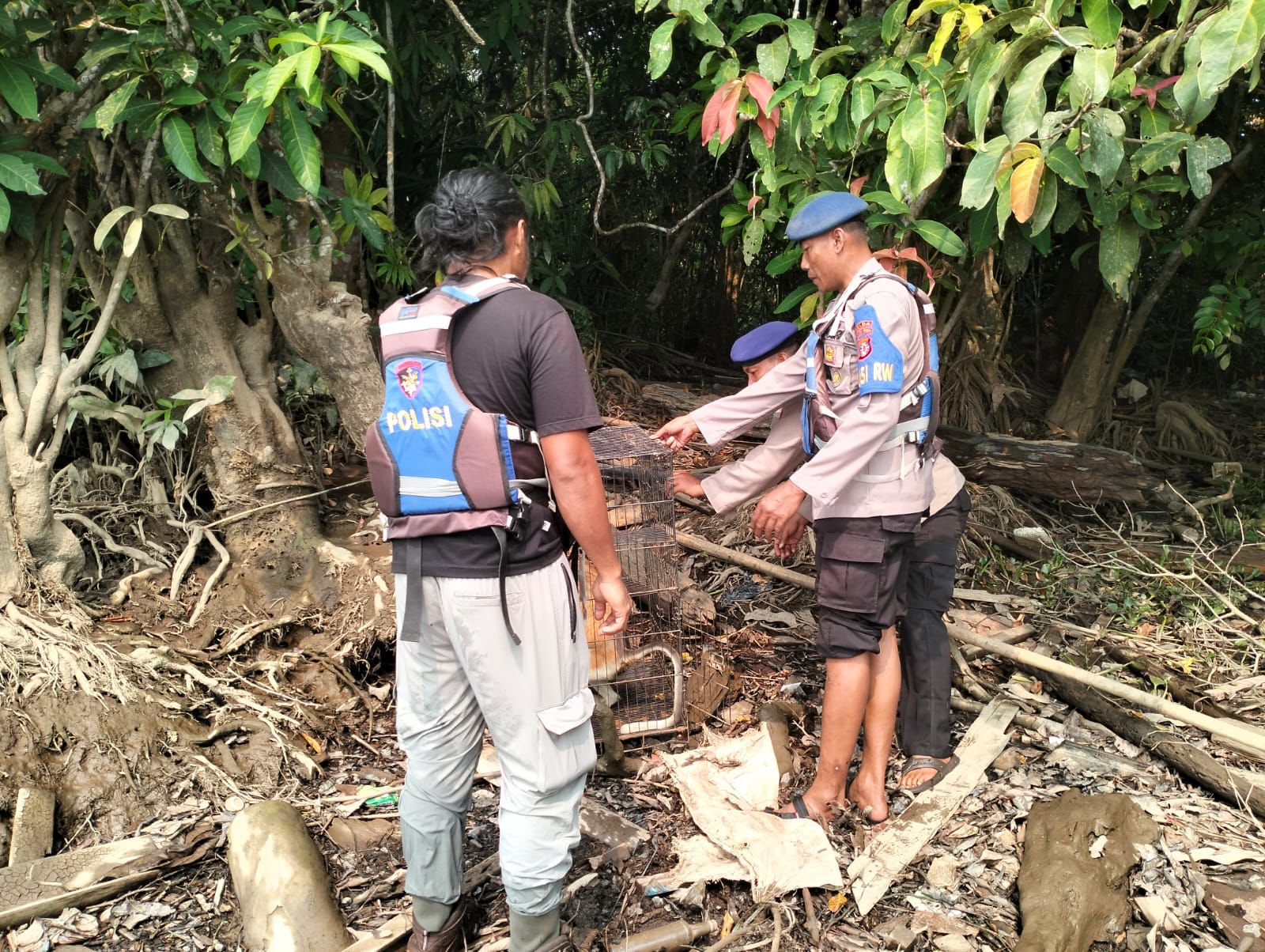 Ditpolairud Melepasliarkan Seekor Bekantan Di Sungai Babuluh Mentaya Seberang