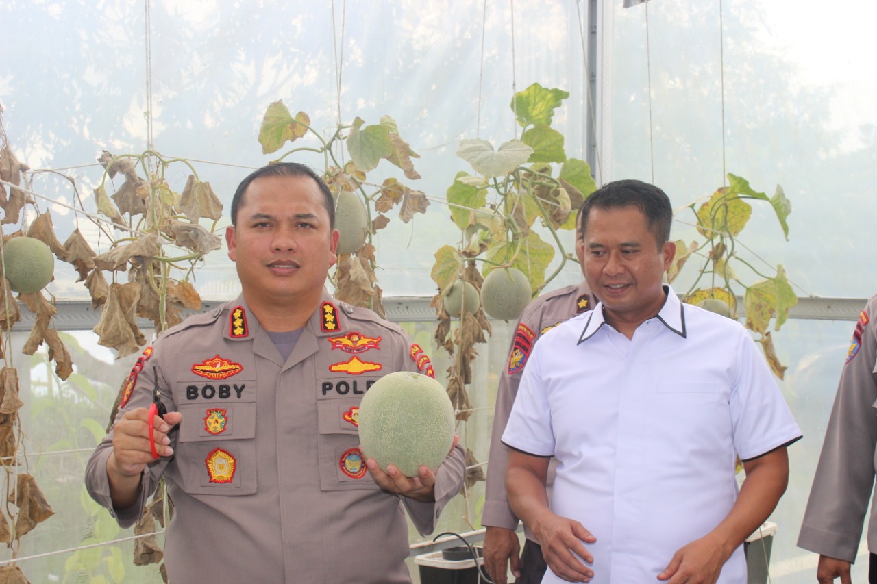 Panen Buah Melon, Dirpolairud Bagikan Kepada Masyarakat Dan Anak-Anak