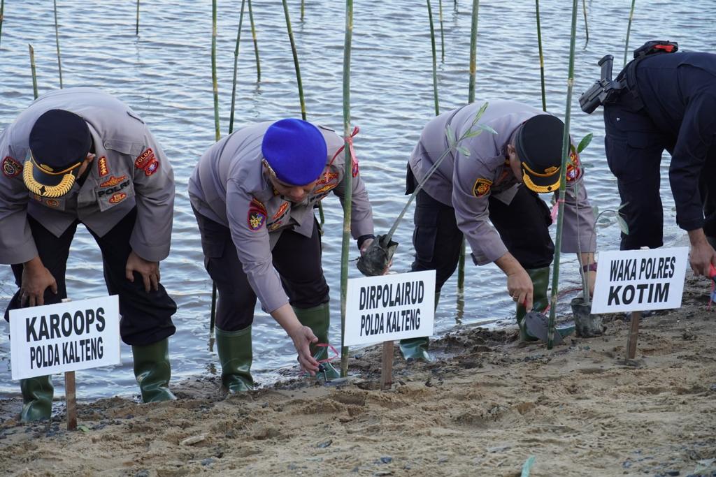 Dirpolairud Dampingi Wakapolda Dalam Kegiatan Penanaman Pohon Bakau di Pantai Ujung Pandaran