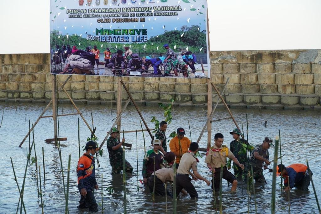 Dirpolairud Dampingi Wakapolda Dalam Kegiatan Penanaman Pohon Bakau di Pantai Ujung Pandaran