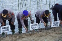 Dirpolairud Dampingi Wakapolda Dalam Kegiatan Penanaman Pohon Bakau di Pantai Ujung Pandaran