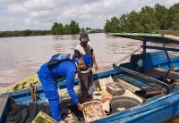 Jaga Ekosistem Ikan Di Perairan Kapuas, Ditpolairud Pastikan Proses Tangkap Ikan Sesuai Ketentuan